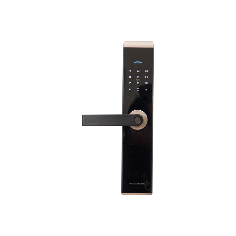 Electronic locks: Leading a new era of security with advanced password systems and biometric technology